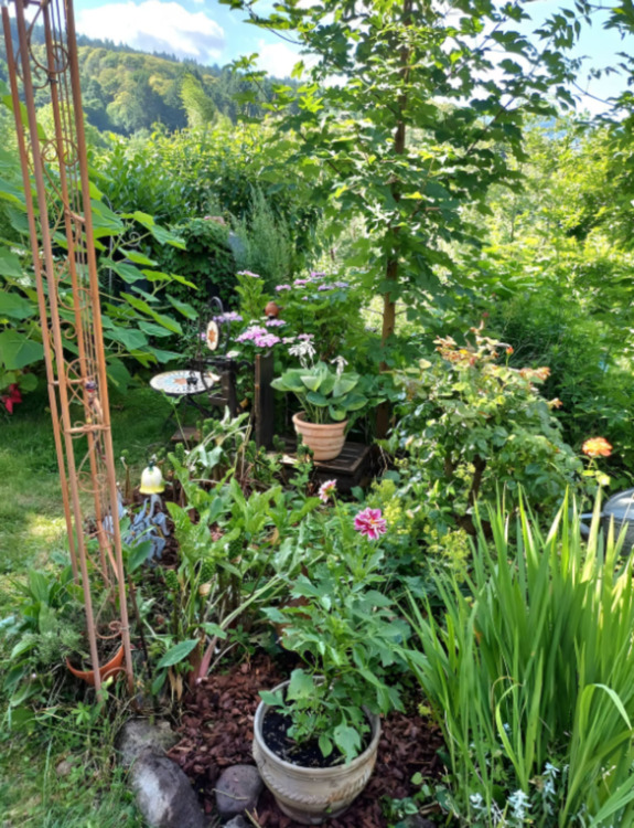 Thumbnail-Ferienwohnung Nähe Nationalpark SchwarzwaldBadischer Jakobsweg