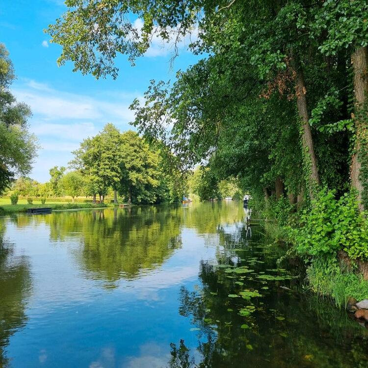 Thumbnail-Ferienwohnungen direkt an der Spree!Angeln,Boot fahren,Baden!