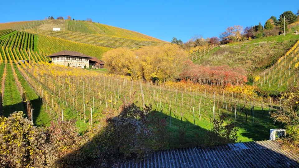 Thumbnail-2-Zimmer Whg nach Sanierung am Weinberg | Mitgestalten möglich