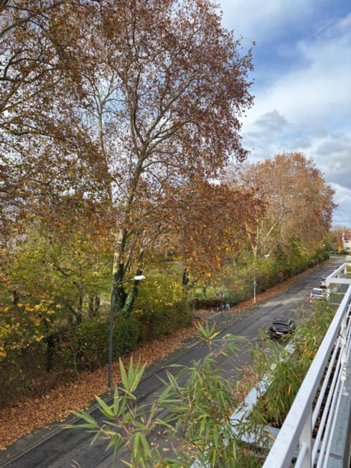 Thumbnail-4-Zimmer-Wohnung in Friesenheim