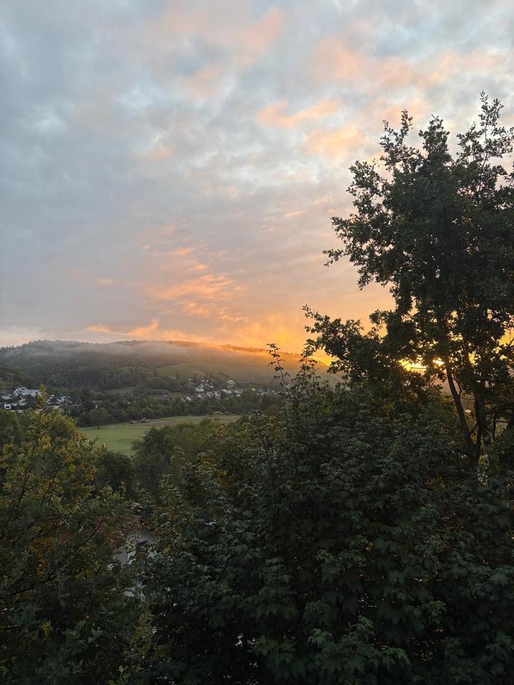 Thumbnail-Mehrfamilienhaus am Waldrand mit 3 Whg. in 74670 Forchtenberg