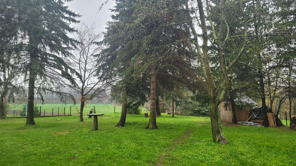 Thumbnail-Renovierte, helle 3-Raum-Wohnung mit Garten und StellplatzGarage