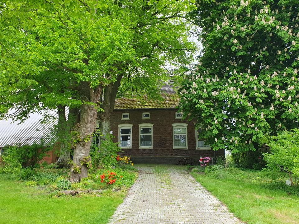 Thumbnail-Geräumige Ferienwohnung 60qm Alleinlage Neuharlingersiel Nordsee