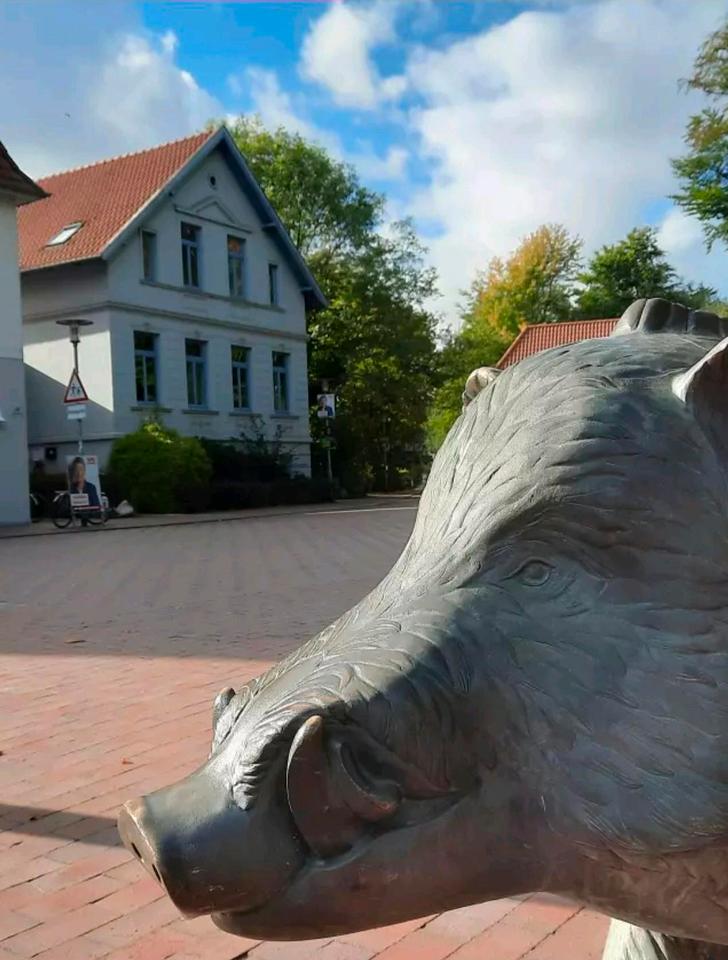 Thumbnail-möblierte Wohnung 48qm mit Küche Bad Balkon und Stellplatz