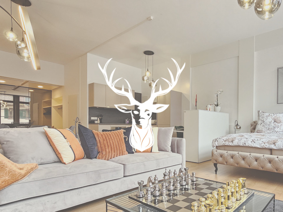 Thumbnail-Exklusive Wohnung im Loft-Style vollständig möbliert monatlich anmietbar