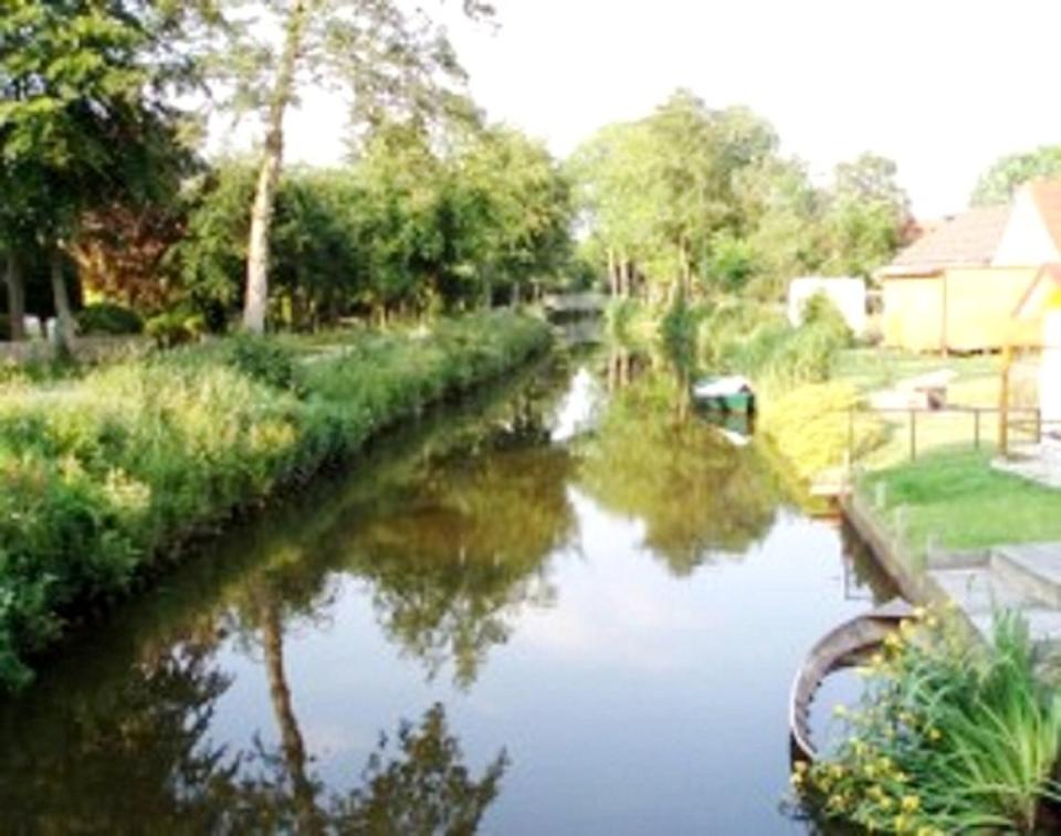Thumbnail-Nordsee Urlaub Ferienwohnung Ferien mit Hund Garten