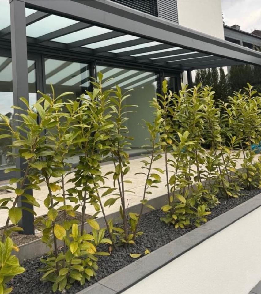 Thumbnail-Luxuriöses 3 Zimmer Neubauwohnung Erstbezug