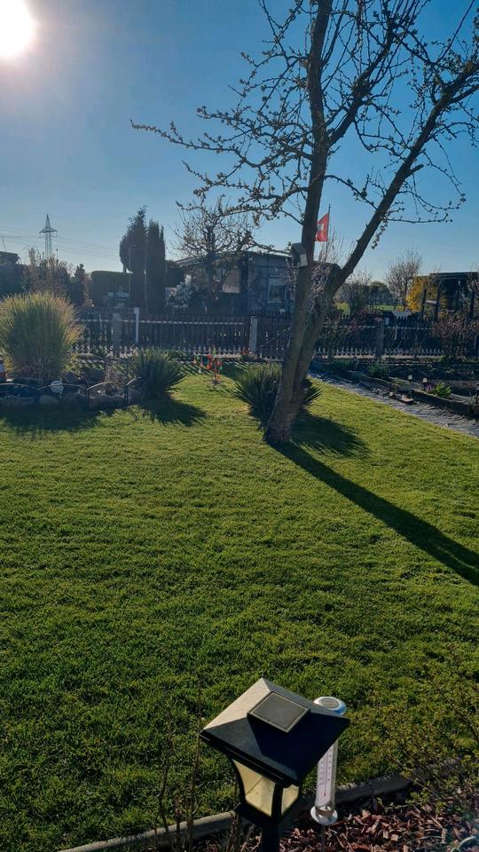 Thumbnail-Pachtgarten abzugeben