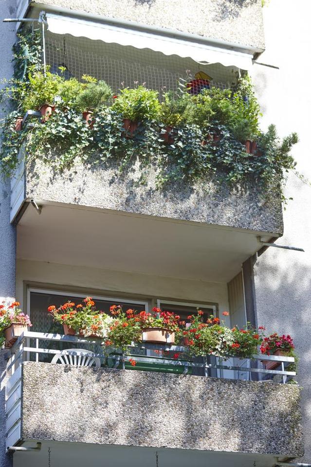 Thumbnail-3-Zimmer-Wohnung in Witten Annen