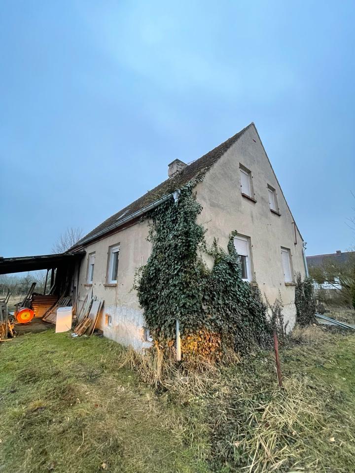 Thumbnail-Einfamilienhaus in Mahlwinkel, großes Grundstück