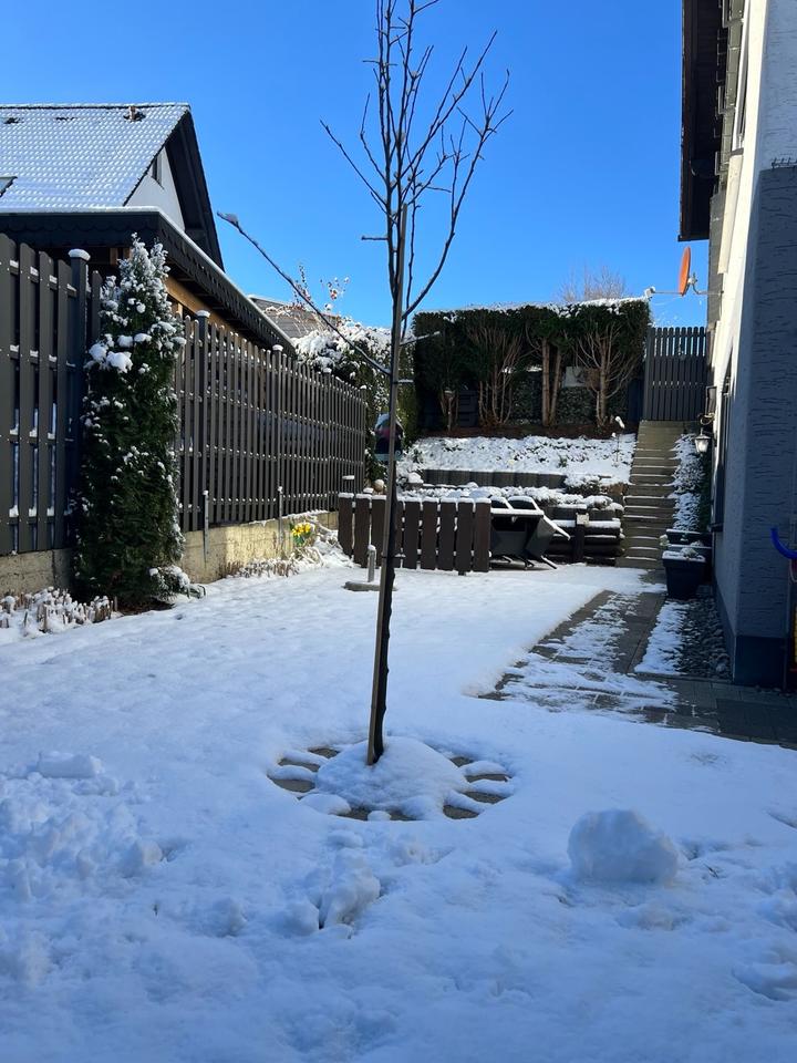 Thumbnail-Ferienwohnung, Riekes, Sauerland, Winter, Kurztripp
