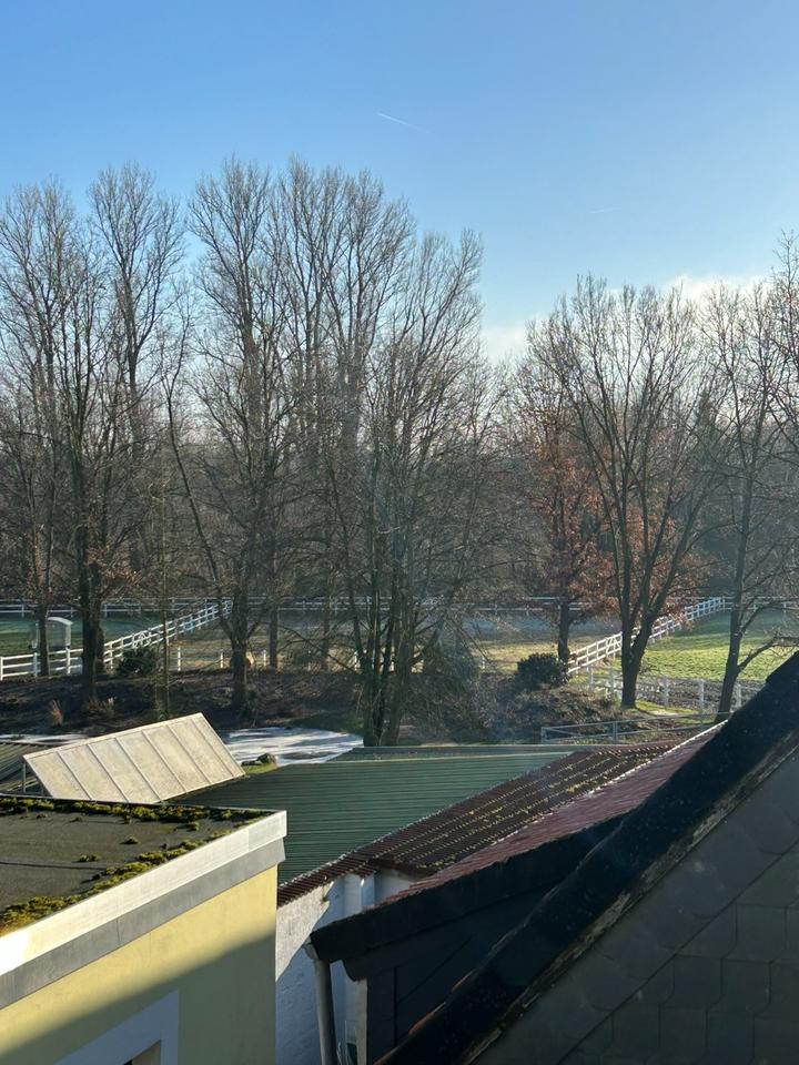 Thumbnail-Sonnige Drei - Zimmer - DG Wohnung in BS - Hondelage