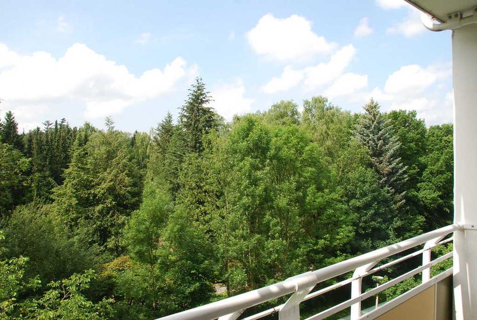 Thumbnail-Familienfreundliche Wohnung mit EBK und Balkon