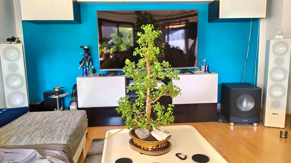 Thumbnail-Möblierte 2 ZKB Wohnung im Universitätsviertel, 86159 Augsburg