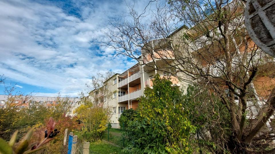 Thumbnail-sanierte altersgerechte 2-Raum Wohnung im Betreuten Wohnen
