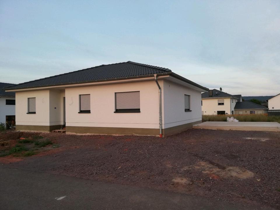 Thumbnail-Herr Schwamm