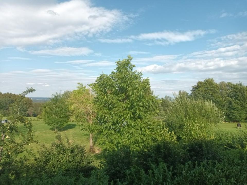 Thumbnail-son. 2 - 3 Zi - Komf. Whg.m. Balkon u. Weitblick