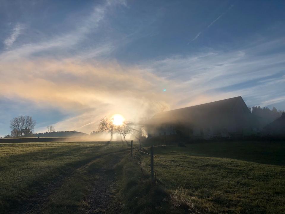 Thumbnail-Naturnahe Ferienwohnung in urigem Bauernhof, Allgäu