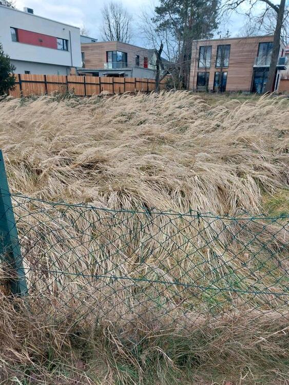 Thumbnail-Bau reifes Grundstück Gemarkung Hellerau Klotzsche