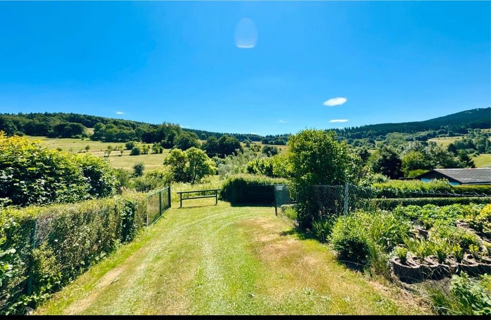 Thumbnail-2 Raum Wohnung NEU renoviert