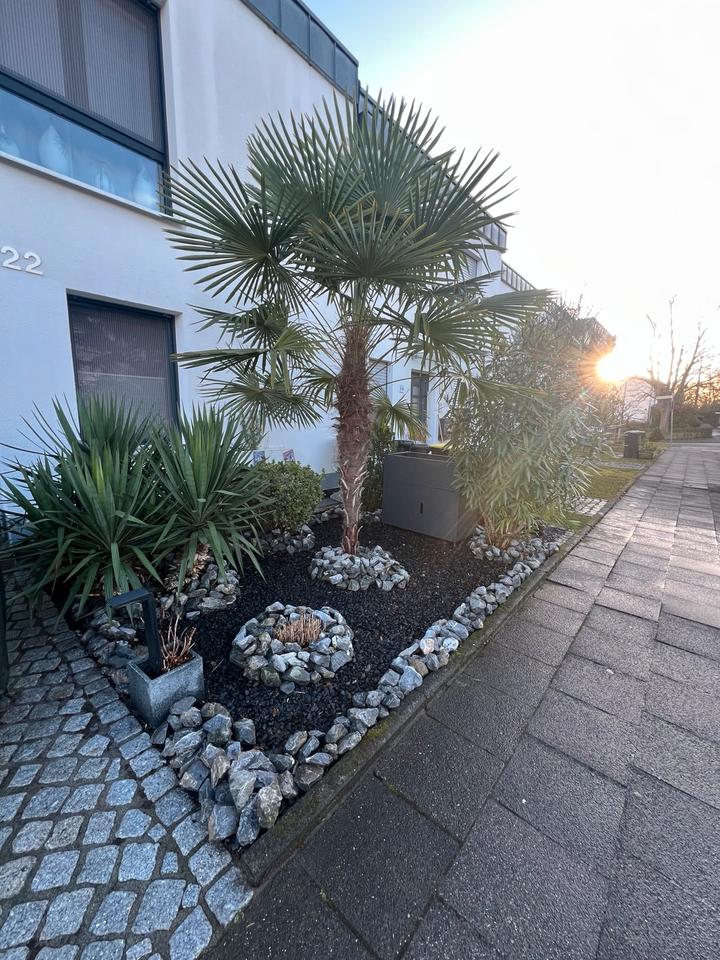 Thumbnail-Exklusives Einfamilienhaus in Köln Heimersdorf von privat