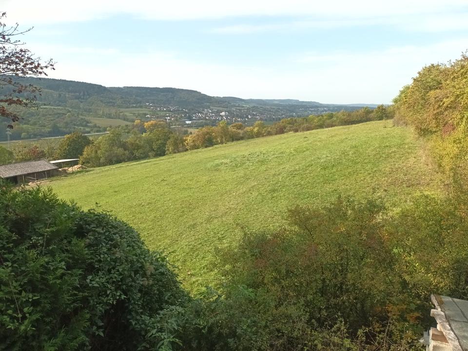 Thumbnail-3ZKB Wohnung in Saarfels mit wunderschöner Aussicht