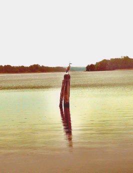 Thumbnail-Wohnung am Storkower See