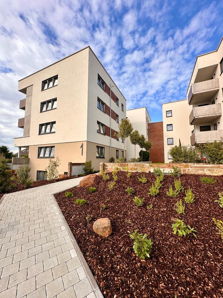 Thumbnail-Willstätt: 3-Zimmer-Erdgeschosswohnung im Kernort Willstätt zu vermieten.