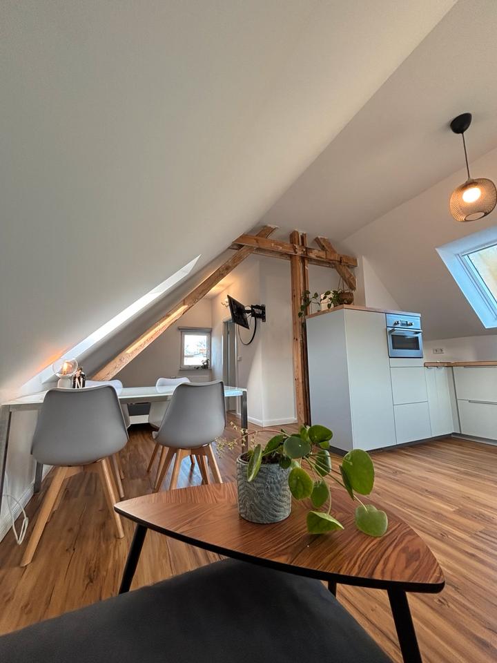 Thumbnail-Modernes, helles Dachgeschoss-Apartment in ruhiger Lage (Grünau)