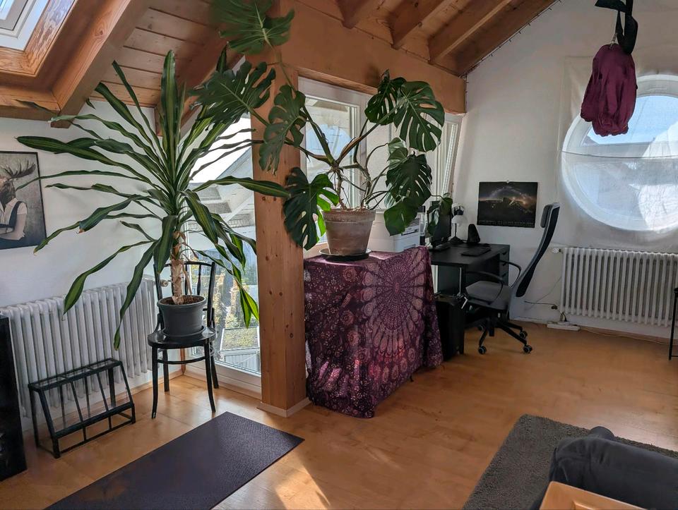 Thumbnail-Maisonettenwohnung zur Untermiete (für 12 Monate) frei