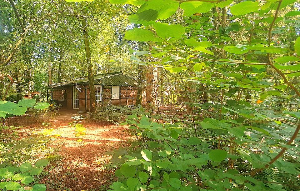 Thumbnail-#2.800QM² WALDGRUNDSTÜCK,MIT 83QM² HAUS,GÜLTIGER B-PLAN 2xWOHNEN#