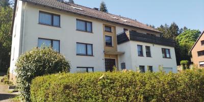 Thumbnail-großzügige 2 Zimmer-Wohnung mit Terrasse in Neuhaus im Solling zu vermieten