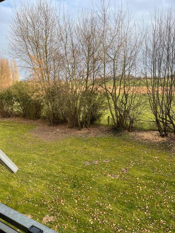 Thumbnail-Eigentumswohnung 2,5 Zimmer 57m2 1 Etage - in Neuasseln