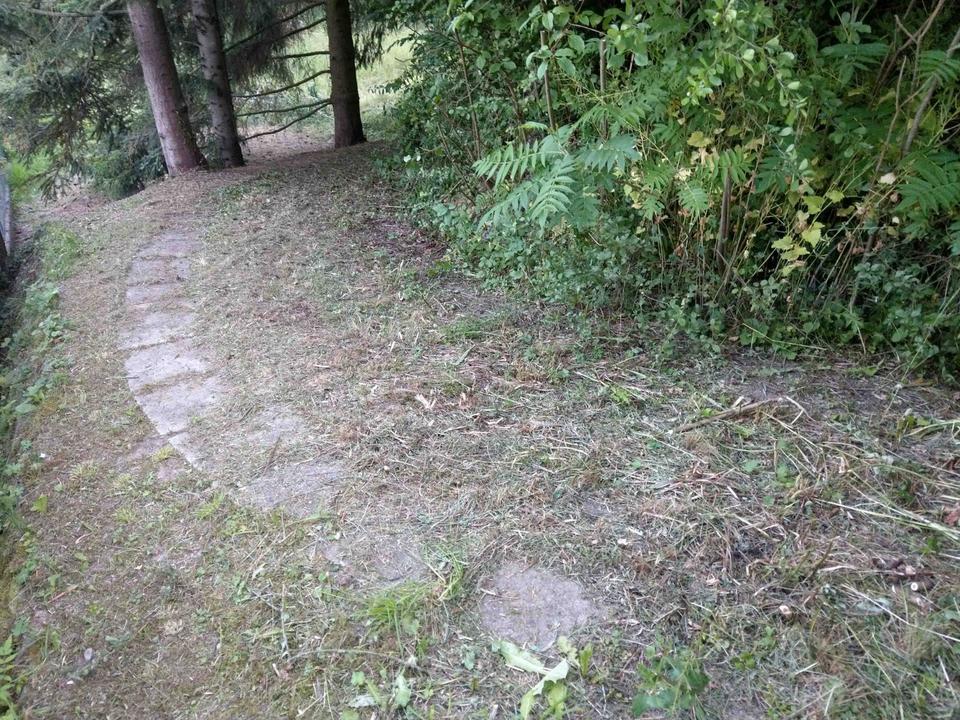 Thumbnail-Biete: großen Wiesen-Gartenanteil mit 3,5 Zimmer Wohnung