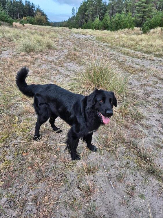 Thumbnail-Kleines Haus oder Erdgeschosswohnung