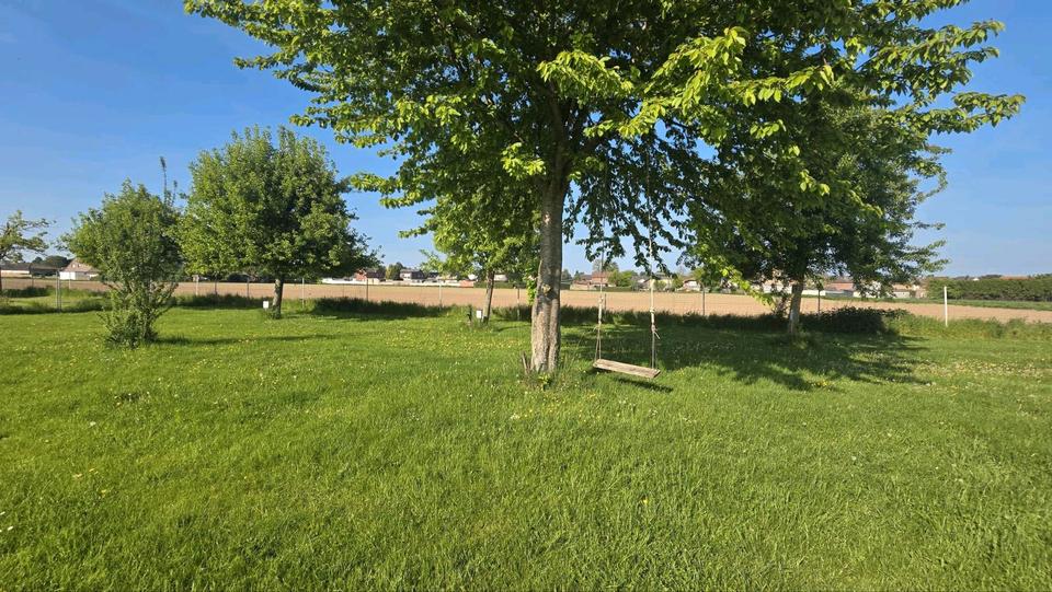 Thumbnail-Stellplatz Urlaub auf der Obstwiese mit Reisemobil o. Wohnwagen