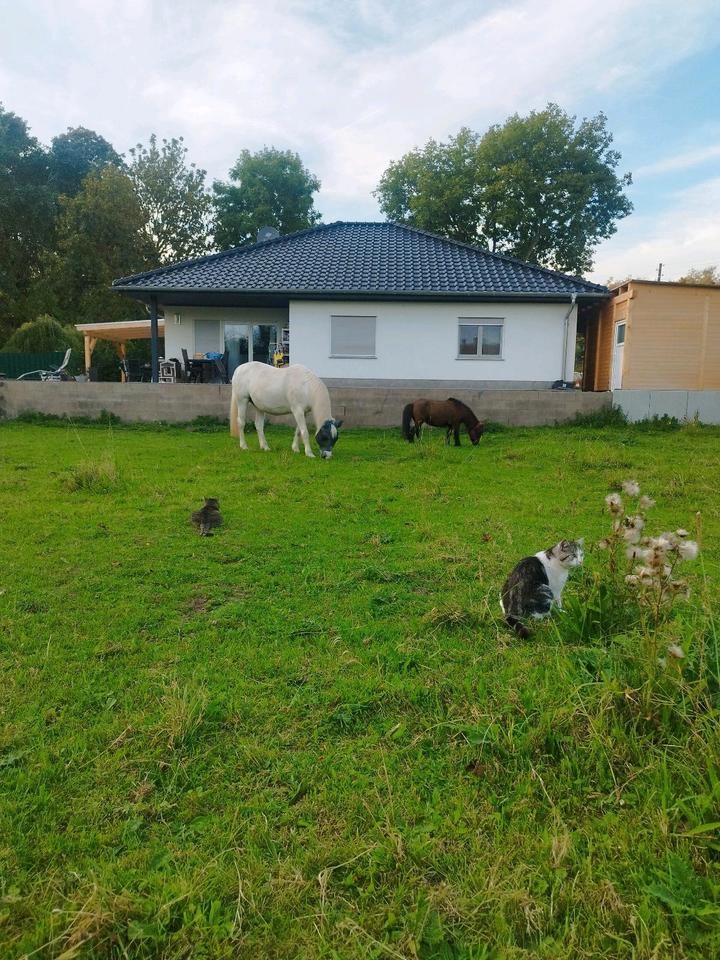 Thumbnail-Haus mit PferdehaltungTierhaltung