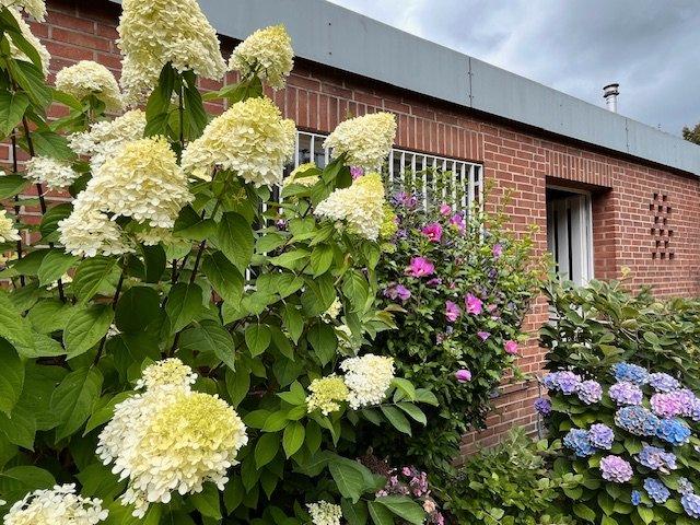 Thumbnail-Bungalow, barrierefrei, Düsseldorf Nord, provisionsfrei