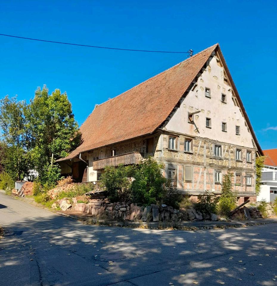Thumbnail-Denkmalgeschütztes Quergeteiltes Einhaus