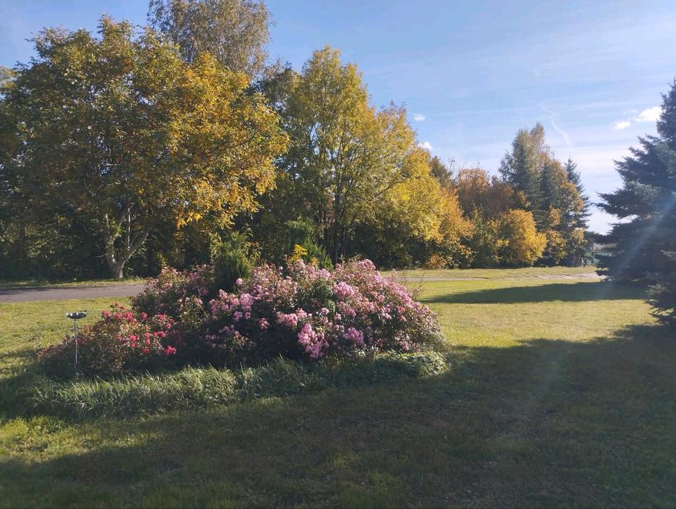 Thumbnail-*Speckgürtel Berlin*knapp7000qmGrundstück*gr.Wohngebäude*grHalle