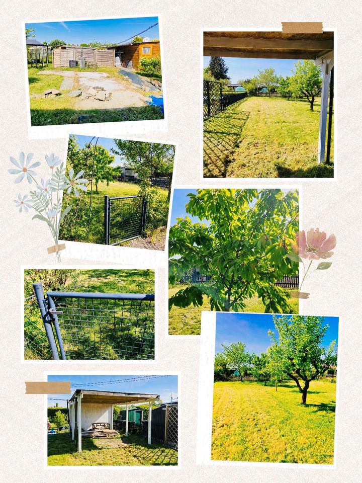 Thumbnail-Freier Pachtgarten in Rackwitz