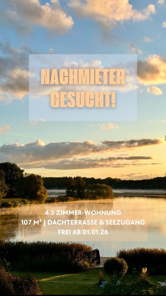 Thumbnail-Moderne 4,5-Zimmer-DGW mit Terrasse und Seeblick ab1.3.