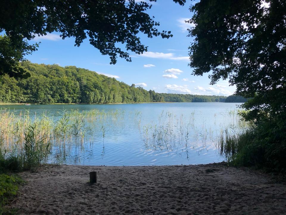 Thumbnail-Einfamilien-Ferienhaus nahe am Peetschsee