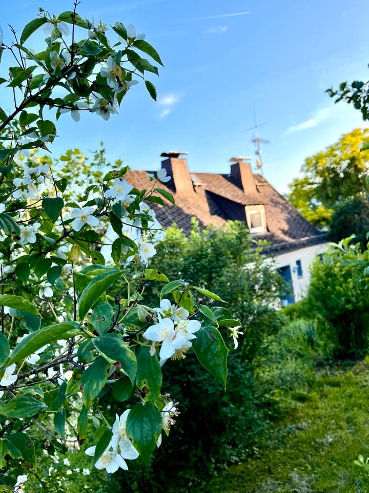 Thumbnail-Charmantes Einfamilienhaus in Langenbach