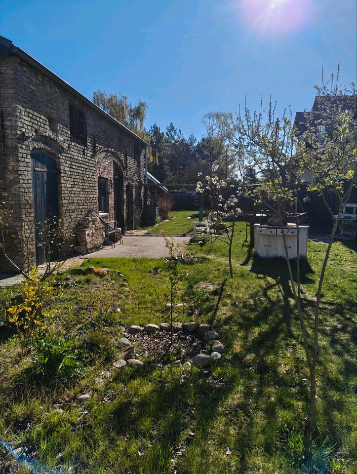 Thumbnail-♥️ Landhaus Haus mit Backsteinscheune Zuhause provisionsfrei ♥️