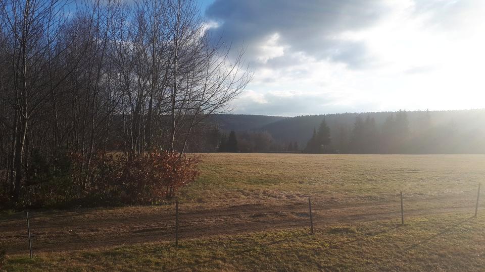 Thumbnail-Sonnige Eigentumswohnung Karl von Hahnstr 113