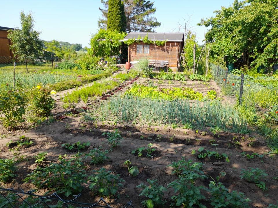 Thumbnail-Gepflegter Schrebergarten in Sehnde-Bilm