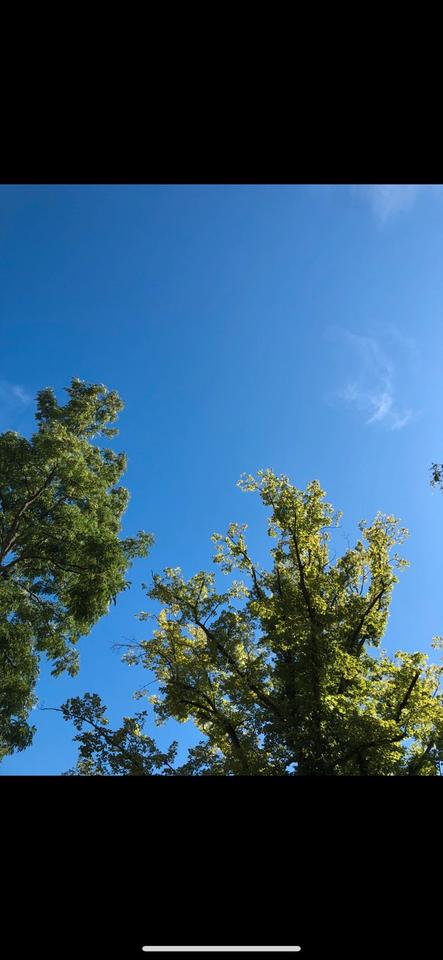 Thumbnail-Wohnung zu vermieten