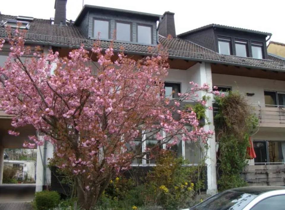 Thumbnail-Gepflegte Doppelhaushälfte 7 Zimmer in Wiesbaden-Naurod