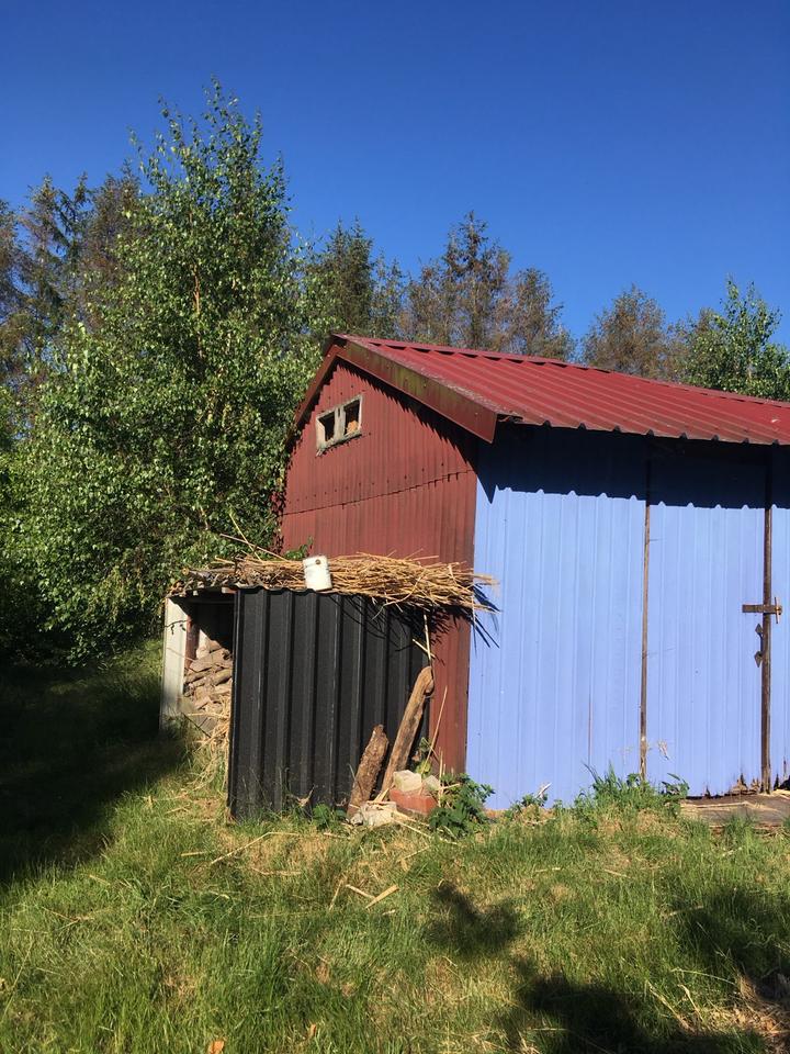 Thumbnail-Wochenendgrundstück Garten Naturgrundstück mit Teich